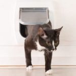 An AI-Powered Cat Door to Keep Your Cat and Its Prey OUT
