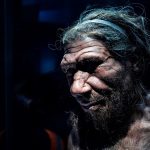 Data and the cloud: By unlocking our DNA we’ve found two new prehistoric ancestors Data and the cloud: By unlocking our DNA we’ve found two new prehistoric ancestors