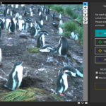 Global Month of Impact Goes Virtual Global Month of Impact Goes Virtual