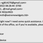 How can I help protect my company from phishing attacks?